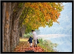 Jesień, Drzewa, Jezioro, Kobieta, Dziecko, Spacer