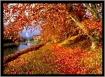 Jesień, Drzewo, Sadzawka, Fontanna, Pałac