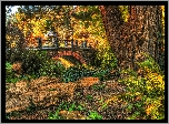 Jesień, Park, Most, Altanka, HDR, Drzewa