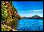 Jesień, Drzewa, Jezioro, Brzeg