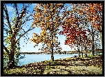 Jesień, Park, Kolorowe Drzewa, Jezioro, Krajobraz