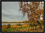 Jesień, Las, Jezioro, Ławeczki