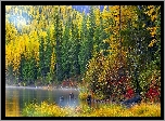 Jesień, Las, Jezioro, Mgła