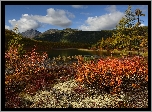 Jesień, Góry Kołymskie, Jezioro Jack London, Drzewa, Kolorowe, Krzewy, Kołyma, Obwód magadański, Rosja