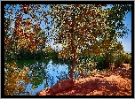 Jesień, Drzewa, Staw, Kaczki, Brzeg