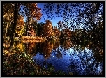 Jesień, Park, Staw, Drzewa, Kaczki, Ptaki