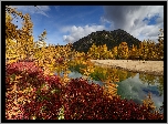 Jesień, Drzewa, Jezioro, Rośliny, Kołyma, Rosja
