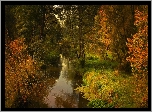 Jesień, Drzewa, Krzewy, Las, Rzeka