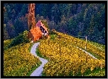 Jesień, Pole, Winnica, Las, Dom