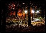 Jesień, Park, Drzewa, Ławka, Latarnie, Noc