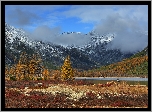 Jesień, Góry Kołymskie, Mgła, Pies, Drzewa, Jezioro Jack London Lake, Kołyma, Magadan, Rosja