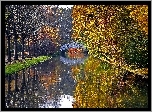 Jesień, Rzeka, Most, Drzewa