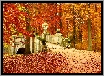 Jesień, Park, Mostek, Liście