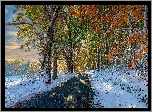 Jesień, Drzewa, Śnieg, Droga