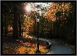 Jesień, Park, Alejka, Nowy Jork