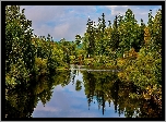 Jesień, Las, Jezioro, Obłoki, Odbicie