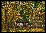 Jesień, Dom, Ogród, Drzewa