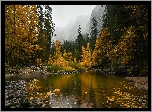 Jesień, Rzeka, Kamienie, Góry, Żółte, Drzewa