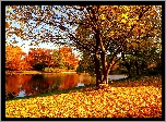 Jesień, Park, Rzeka, Żółte, Liście