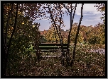 Jesień, Park, Ławka, Drzewa, Opadłe, Liście