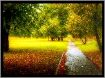 Jesień, Park