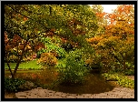 Jesień, Park