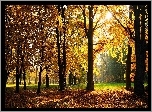 Jesień, Park