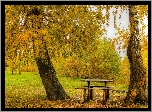 Park, Jesień, Ławka