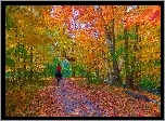 Jesień, Droga, Park, Koń