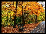 Jesień, Drzewa, Park, Ławeczka