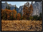 Park Narodowy Yosemite, Drzewa, Jesień, Pożółkła, Trawa, Góry, Szczyt Cathedral Peak, Kalifornia, Stany Zjednoczone