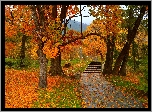 Park, Jesień, Drzewa, Opadłe, Pożółkłe, Liście, Schody