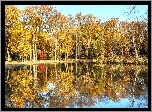 Park, Jesień, Staw