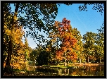 Park, Jesień, Staw