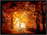 Jesień, Park, Płotek, Liście