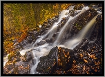 Finlandia, Sawonia Północna, Wodospad Korkeakoski, Kamienie, Drzewa, Jesień