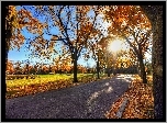 Jesień, Park, Aleja, Promienie Słońca