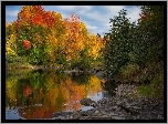 Jesień, Kolorowe, Drzewa, Rzeka, Kamienie
