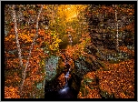 Jesień, Skały, Drzewa, Rzeka, Wodospad
