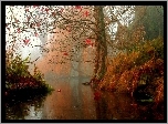 Rzeka, Jesień, Mgła