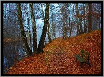 Jesień, Park, Rzeka, Ławka