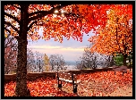 Jesień, Park, Rzeka, Ławki