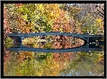 Jesień, Central, Park, Rzeka, Most