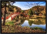 Jesień, Park, Rzeka, Most
