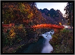 Oświetlony, Most, Shinkyo Bridge, Rzeka, Daiya River, Las, Drzewa, Jesień, Nikko, Japonia