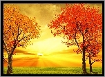 Jesień, Zachód, Słońca, Drzewa