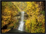 Jesień, Wodospad, Lower South Falls, Żółte, Drzewa, Oregon, Stany Zjednoczone