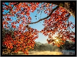 Jesień, Staw, Sagiike, Drzewo, Klon, Czerwone, Liście, Gałęzie, Most, Altana, Pawilon Ukimido, Zachód słońca, Nara Park, Nara, Japonia