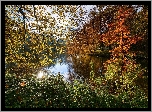 Jesień, Park, Staw, Drzewa
