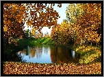 Jesień, Park, Staw, Kaczki